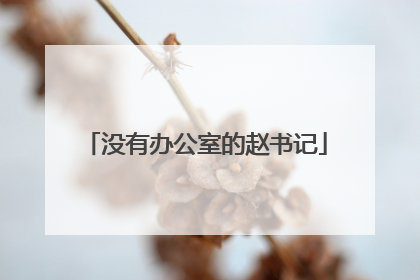 没有办公室的赵书记