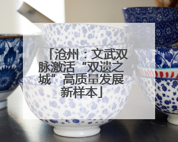 沧州：文武双脉激活“双遗之城”高质量发展新样本