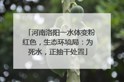 河南洛阳一水体变粉红色，生态环境局：为死水，正抽干处置