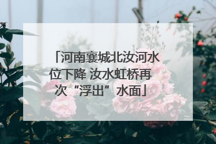 河南襄城北汝河水位下降 汝水虹桥再次“浮出”水面