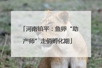 河南镇平：鱼卵“助产师”走俏孵化期