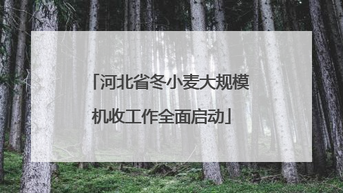 河北省冬小麦大规模机收工作全面启动