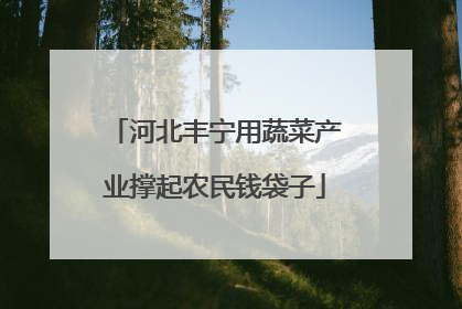 河北丰宁用蔬菜产业撑起农民钱袋子