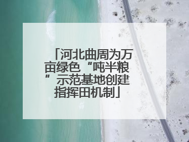 河北曲周为万亩绿色“吨半粮”示范基地创建指挥田机制