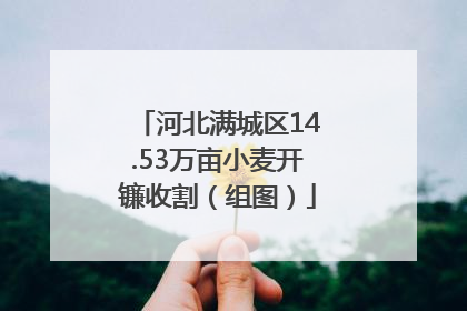河北满城区14.53万亩小麦开镰收割（组图）