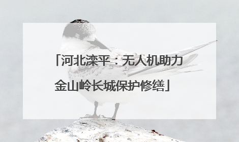 河北滦平：无人机助力金山岭长城保护修缮