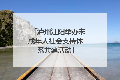 泸州江阳举办未成年人社会支持体系共建活动