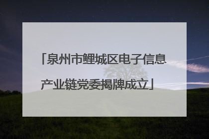 泉州市鲤城区电子信息产业链党委揭牌成立