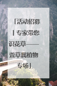 活动招募丨专家带您识花草——萱草属植物专场