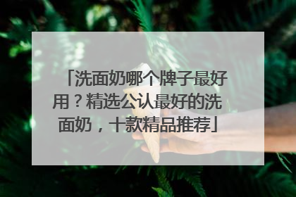 洗面奶哪个牌子最好用？精选公认最好的洗面奶，十款精品推荐