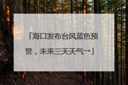 海口发布台风蓝色预警，未来三天天气→