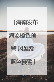 海南发布海浪橙色预警 风暴潮蓝色预警