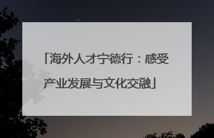 海外人才宁德行：感受产业发展与文化交融