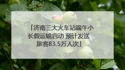 济南三大火车站端午小长假运输启动 预计发送旅客83.5万人次