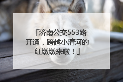 济南公交553路开通，跨越小清河的红墩墩来啦！