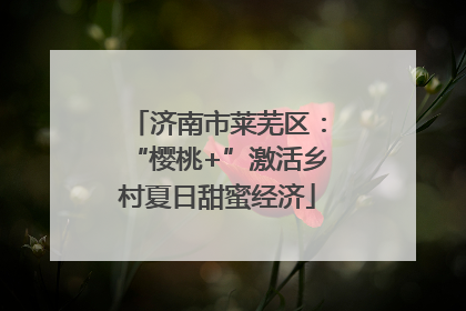 济南市莱芜区：“樱桃+”激活乡村夏日甜蜜经济