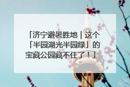 济宁避暑胜地｜这个「半园湖光半园绿」的宝藏公园藏不住了！