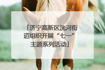 济宁高新区洸河街道组织开展“七一” 主题系列活动