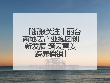 浙报关注丨丽台两地姜产业抱团创新发展 缙云黄姜跨界俏销