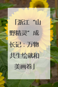 浙江“山野精灵”成长记：万物共生绘就和美画卷