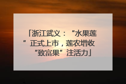 浙江武义：“水果莲”正式上市，莲农增收“致富果”注活力