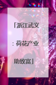 浙江武义：荷花产业助致富
