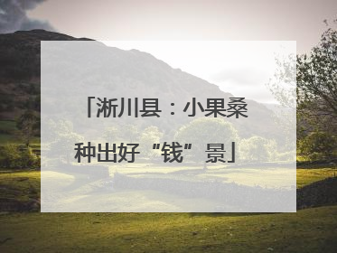 淅川县：小果桑种出好“钱”景