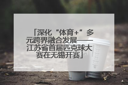 深化“体育+”多元跨界融合发展——江苏省首届匹克球大赛在无锡开赛