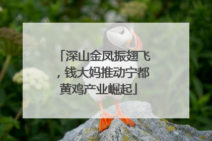 深山金凤振翅飞，钱大妈推动宁都黄鸡产业崛起