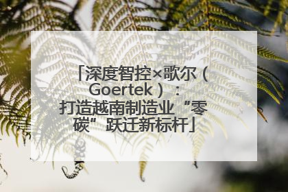 深度智控×歌尔（Goertek）：打造越南制造业“零碳”跃迁新标杆