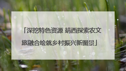 深挖特色资源 靖西探索农文旅融合绘就乡村振兴新图景