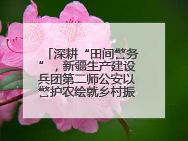 深耕“田间警务”，新疆生产建设兵团第二师公安以警护农绘就乡村振兴平安画卷