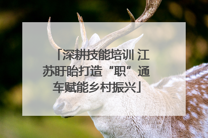深耕技能培训 江苏盱眙打造“职”通车赋能乡村振兴