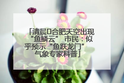 清晨﻿合肥天空出现“鱼鳞云” 市民：似乎预示“鱼跃龙门” 气象专家科普
