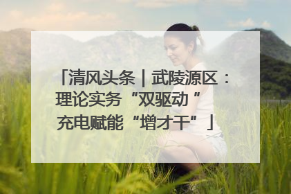 清风头条｜武陵源区：理论实务“双驱动 ” 充电赋能“增才干”