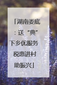 湖南娄底：送“典”下乡优服务 税惠进村助振兴