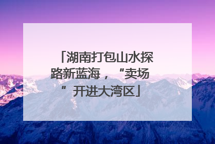 湖南打包山水探路新蓝海，“卖场”开进大湾区
