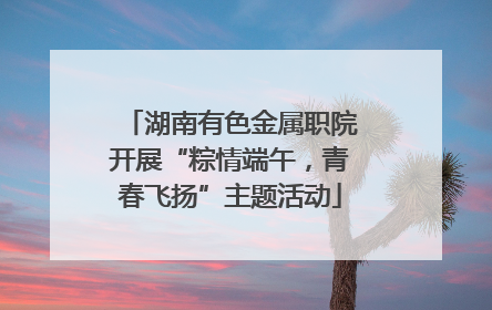 湖南有色金属职院开展“粽情端午，青春飞扬”主题活动