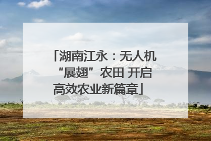 湖南江永：无人机“展翅”农田 开启高效农业新篇章