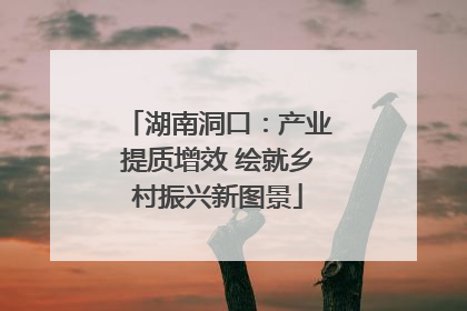 湖南洞口：产业提质增效 绘就乡村振兴新图景