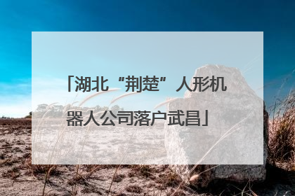 湖北“荆楚”人形机器人公司落户武昌