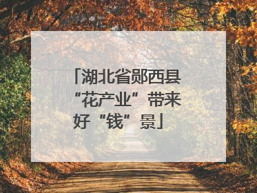 湖北省郧西县“花产业”带来好“钱”景