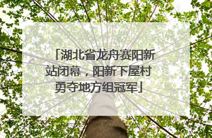 湖北省龙舟赛阳新站闭幕，阳新下屋村勇夺地方组冠军