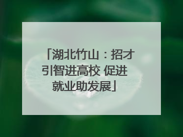 湖北竹山：招才引智进高校 促进就业助发展
