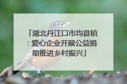 湖北丹江口市均县镇：爱心企业开展公益捐助推进乡村振兴
