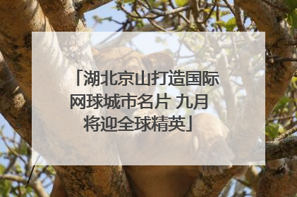 湖北京山打造国际网球城市名片 九月将迎全球精英