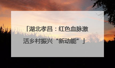 湖北孝昌：红色血脉激活乡村振兴“新动能”