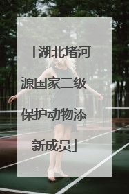 湖北堵河源国家二级保护动物添新成员
