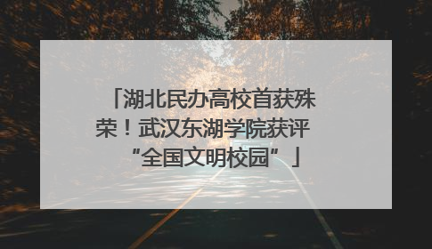 湖北民办高校首获殊荣！武汉东湖学院获评“全国文明校园”