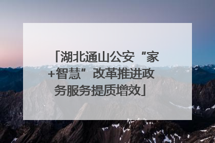 湖北通山公安“家+智慧”改革推进政务服务提质增效